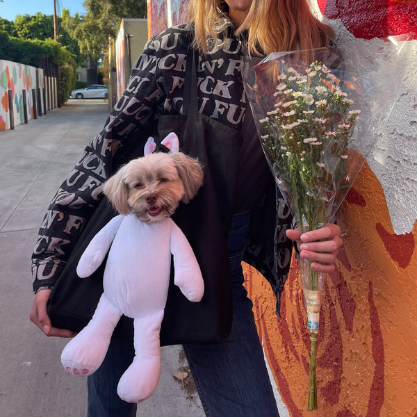 Ripndip Lord Nermal Pet Tote (Black)