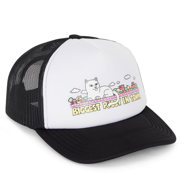 ripndip My Neighborhood Trucker Hat (Black)