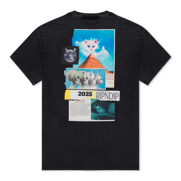 ripndip Nerm Geo Tee (Black Vintage Wash)