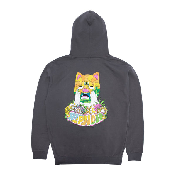ripndip Pretty Sad Hoodie (Charcoal)