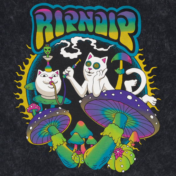 Ripndip Psychedelic Garden Tee (Black Mineral Wash)