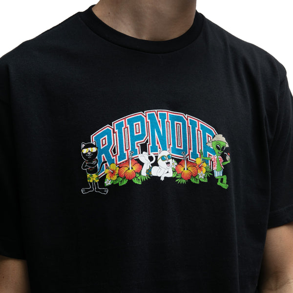 Ripndip Summer Friends Tee (Black)