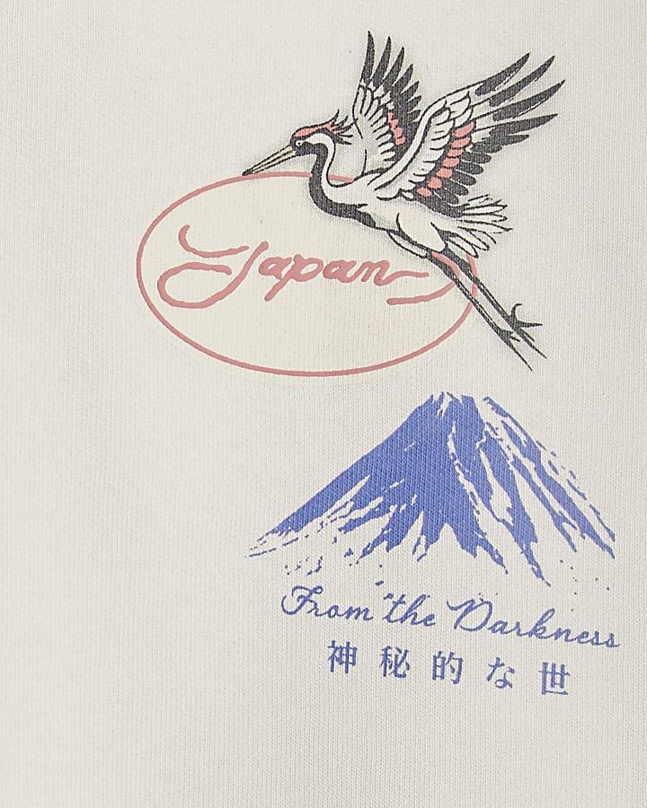 River Island Mini Boys Cream Japanese Bird Print Hoodie