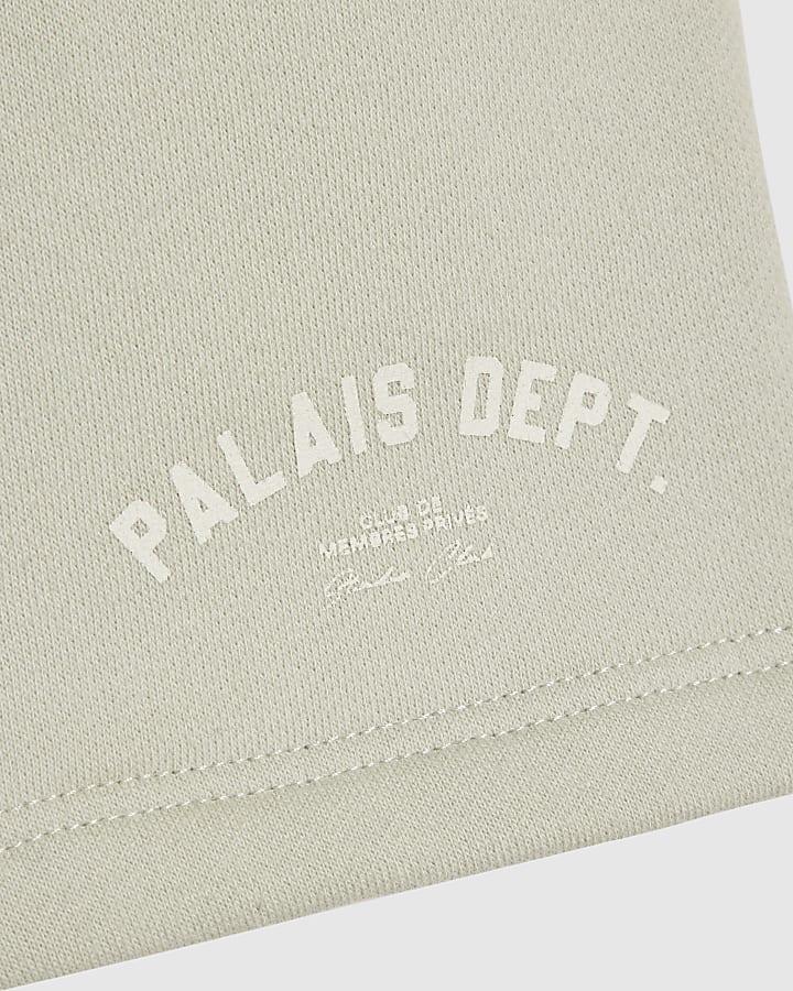 River Island Mini Boys Grey Palais Dept T-Shirt Set