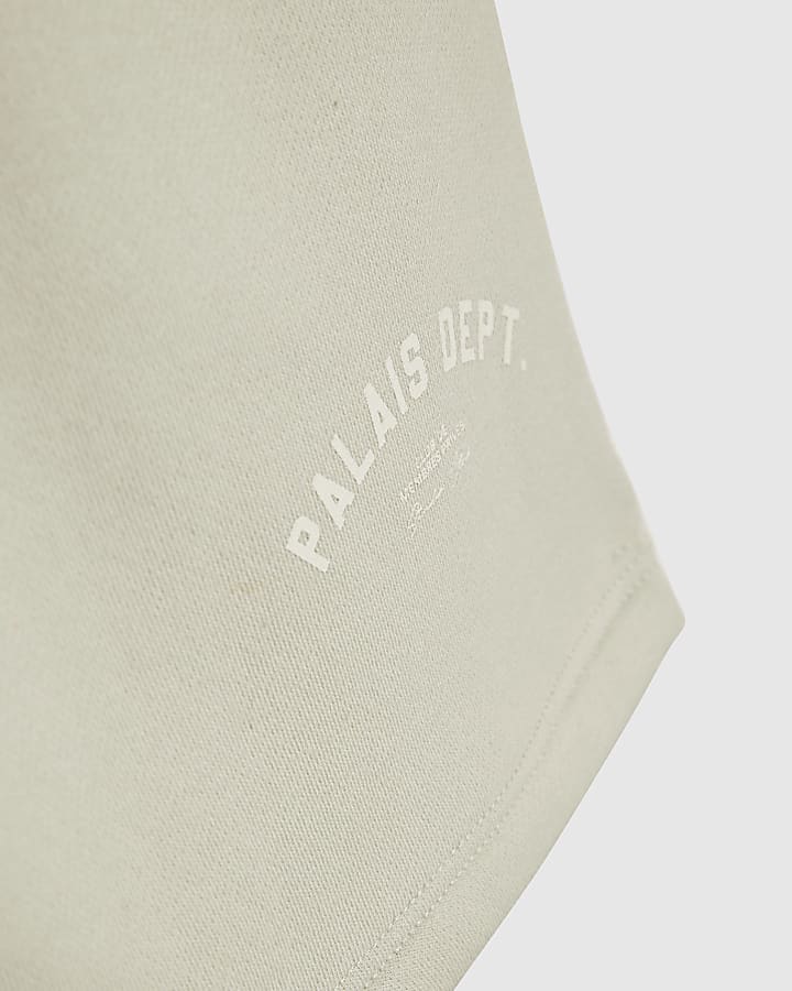 river island Boys Grey Palais Dept T-Shirt Set