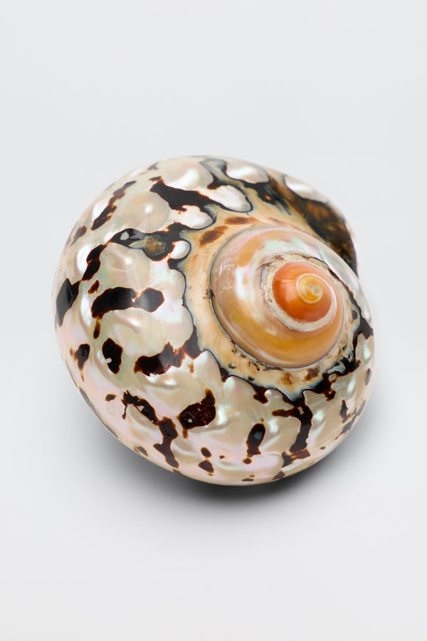 Rixo Elira Charm Gold