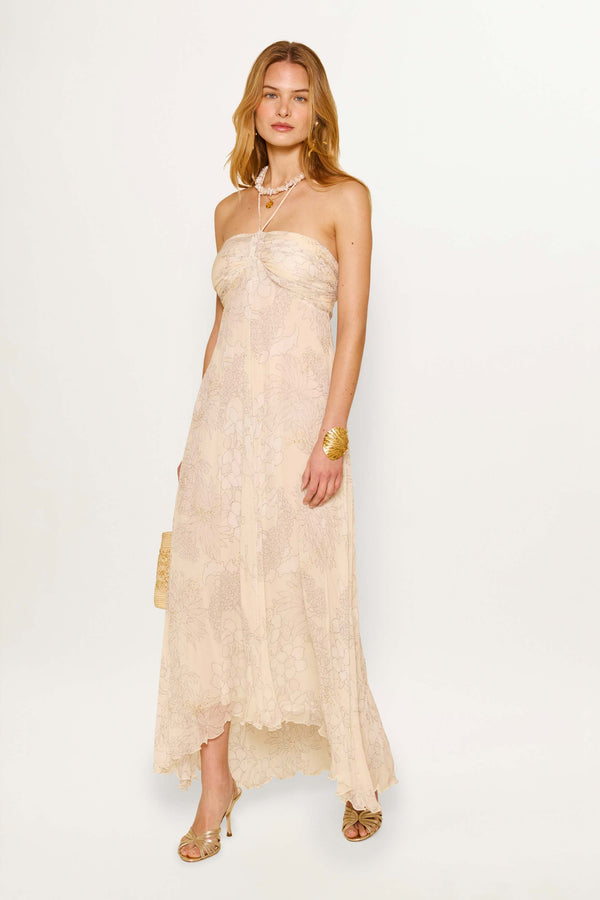 Rixo Samira Gown French Floral Glitter