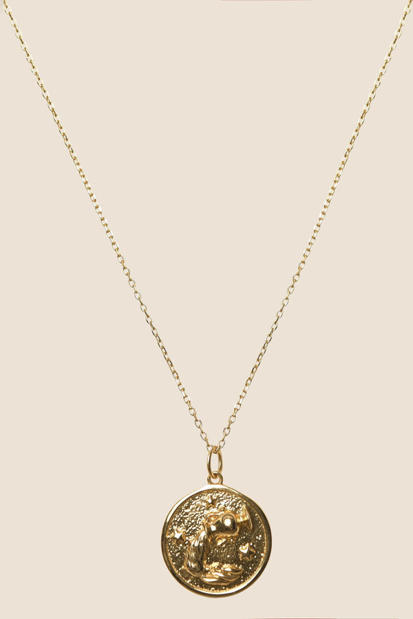 Rixo Zodiac Necklace Aquarius