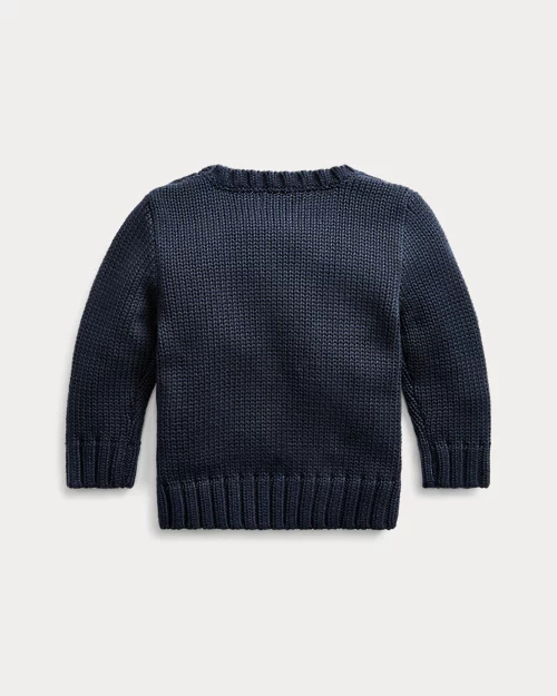 Rlx Ralph Lauren The Iconic Flag Sweater