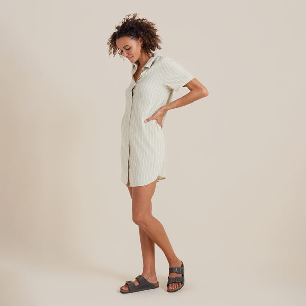 Roark Bless Up Dress In Eucalyptus