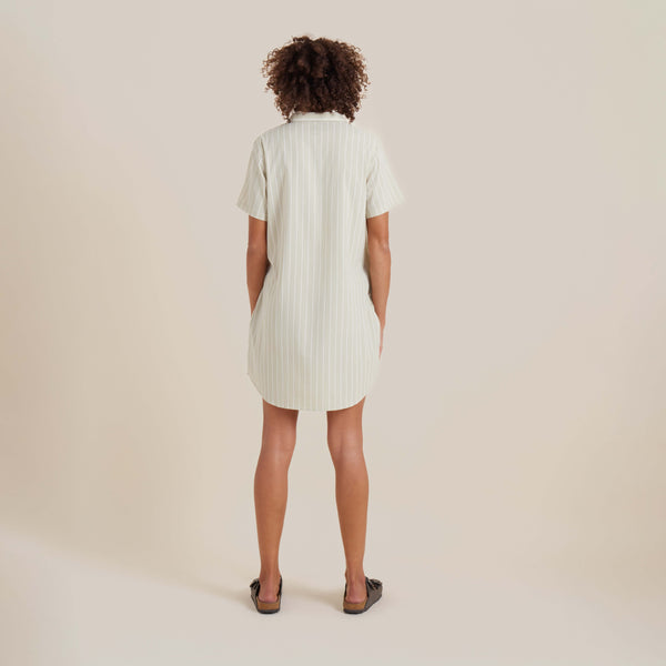 Roark Bless Up Dress In Eucalyptus