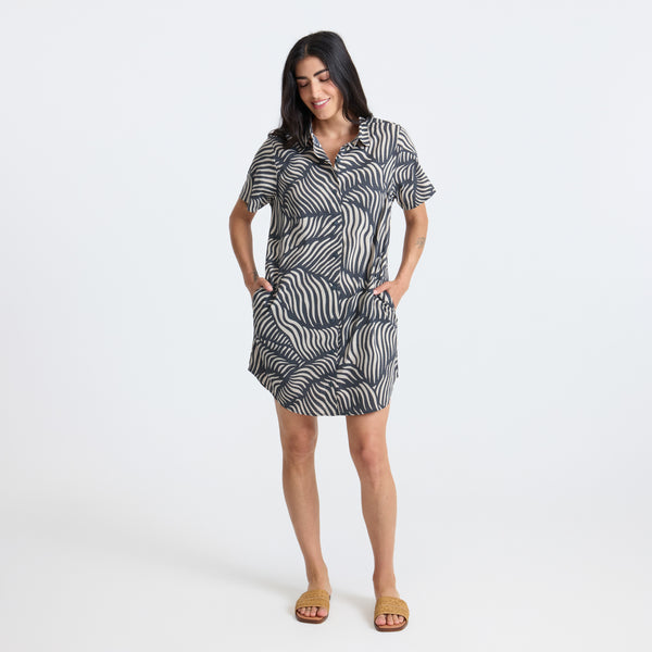 Roark Bless Up Dress In Grey