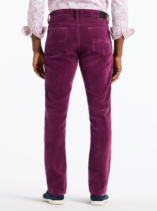 Robert Graham CELESTIAL PANT