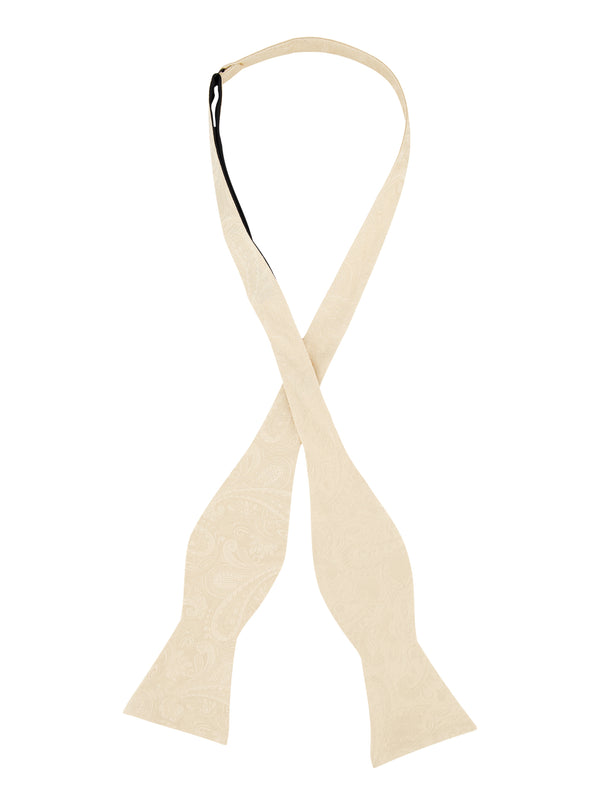 Robert Graham SOLID PAISLEY BOW TIE