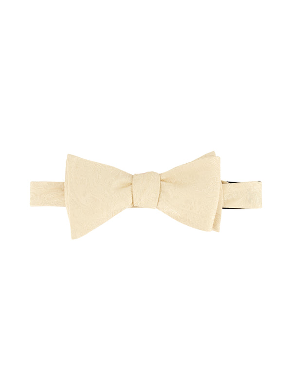 robert graham SOLID PAISLEY BOW TIE