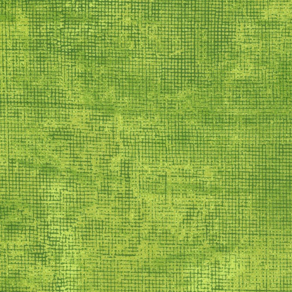 Robert Kaufman Fabrics AJS-17513-358 ZUCCHINI By Jennifer Sampou From Chalk And Charcoal