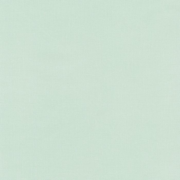 robert kaufman fabrics K001-849 DESERT GREEN from Kona® Cotton