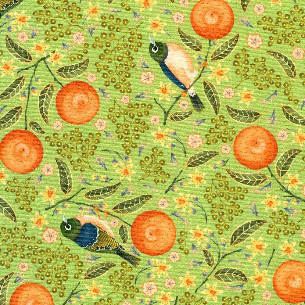 robert kaufman fabrics RCMD-23334-34 SAGE by Catherine Marion from Grove