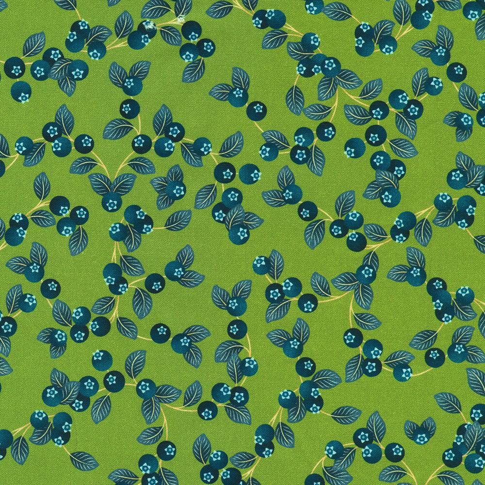 robert kaufman fabrics RCMD-23336-270 MEADOW by Catherine Marion from Grove