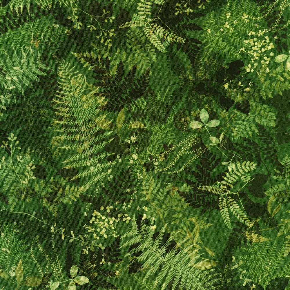 robert kaufman fabrics SRKD-23986-30 FERN from Twilight Terrace