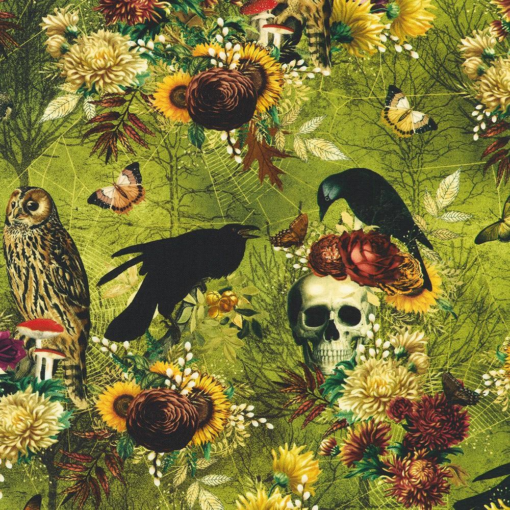 robert kaufman fabrics SRKD-23994-386 ACID LIME from Ravenwood