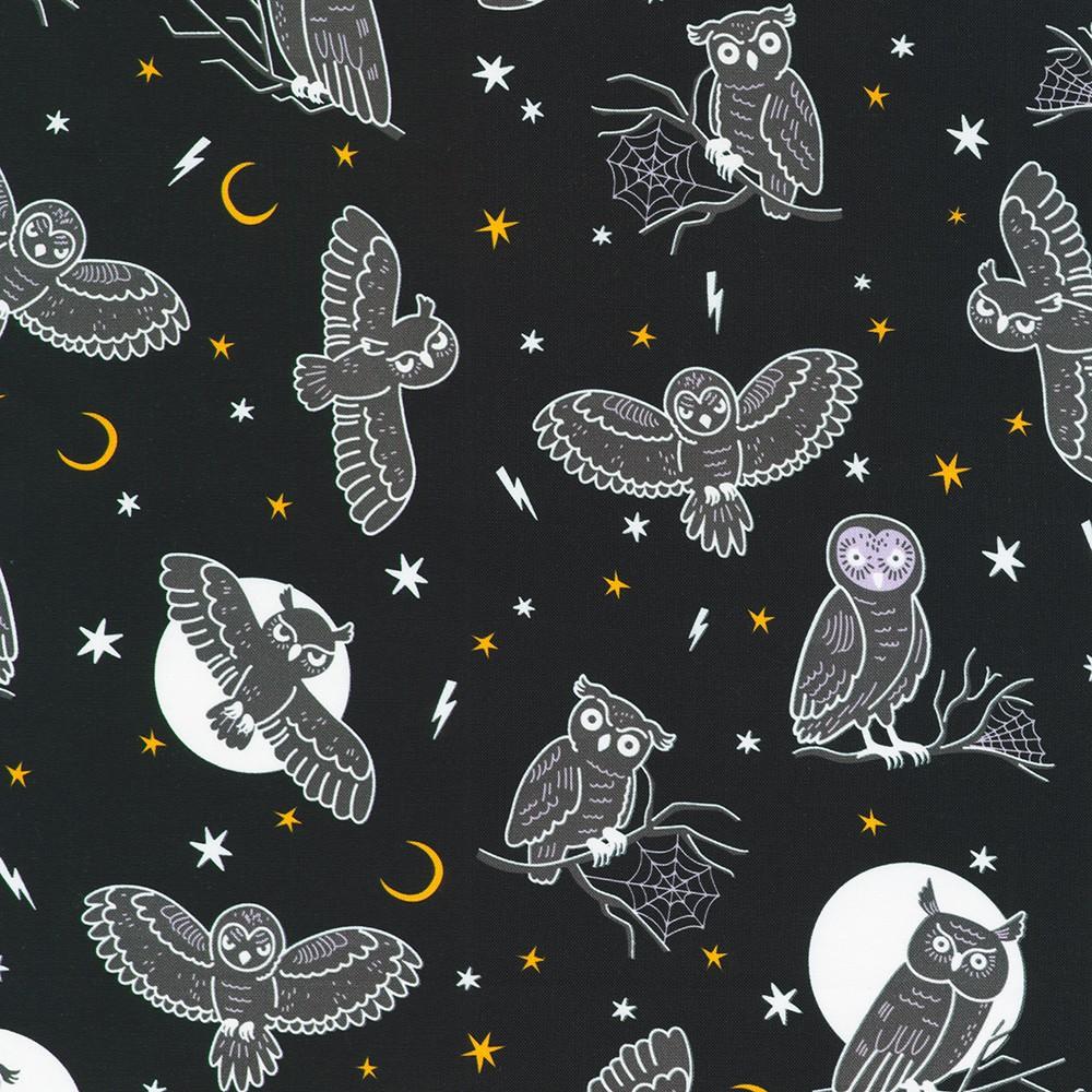 Robert Kaufman Fabrics SRKDO-23741-438 NIGHT From Lights Out