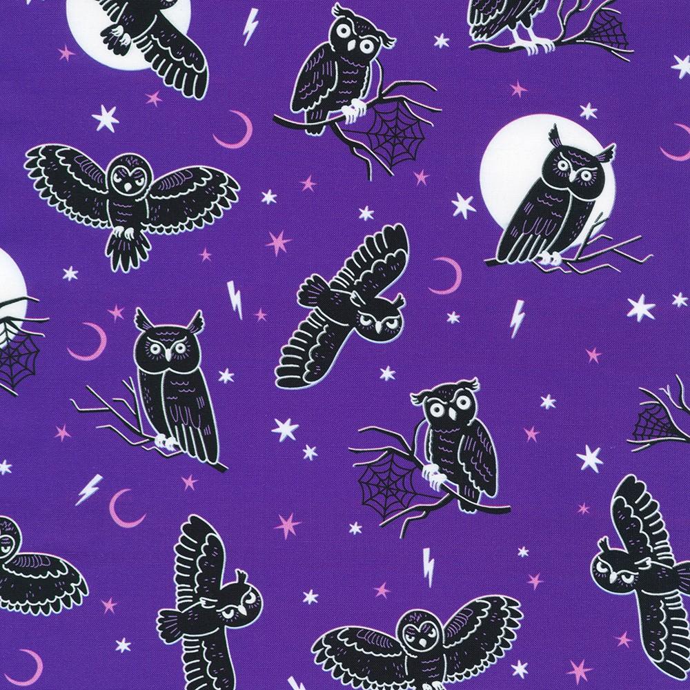 robert kaufman fabrics SRKDO-23741-460 MIDNIGHT PURPLE from Lights Out