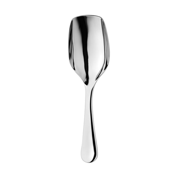 robert welch Radford Bright Ice Scoop