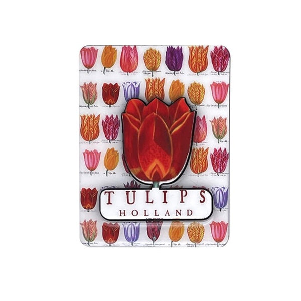 robin ruth Magnet - Holland - Tulips