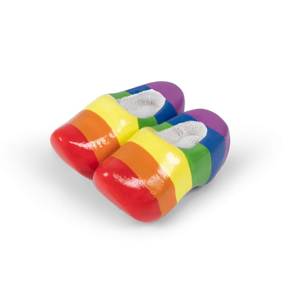 robin ruth Magnet - Wooden shoe