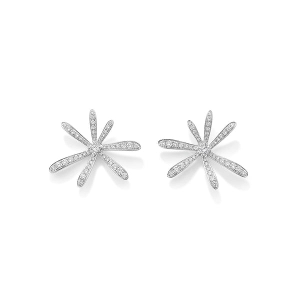 robinson pelham Hypnotica earrings