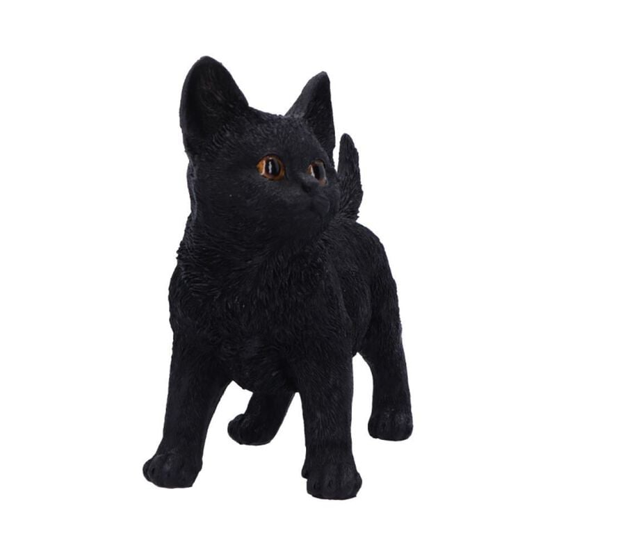 Rock Revival "Charmed Companion" Decoration Articles By Nemesis Now