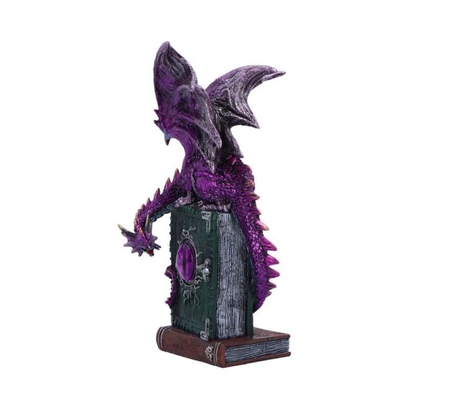 Rock Revival "Dragon Fable" Statue Multicolour By Nemesis Now