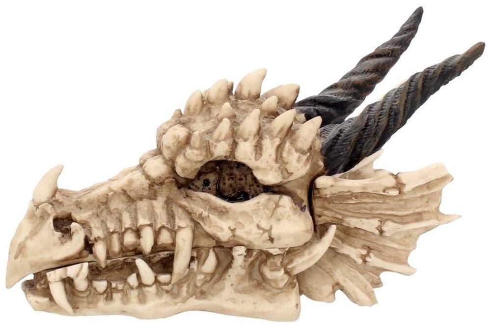 Rock Revival "Dragon Skull Box" Decoration Articles By Nemesis Now