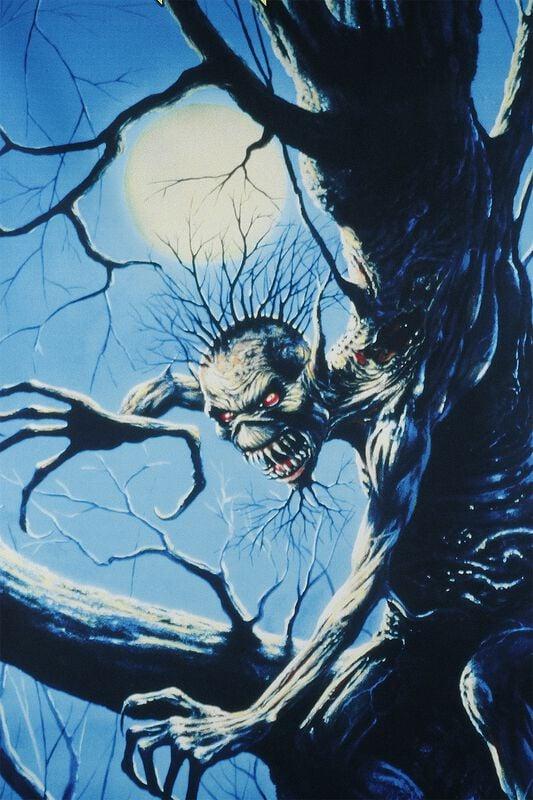 Rock Revival "Fear Of The Dark" Flag Multicolour By Iron Maiden