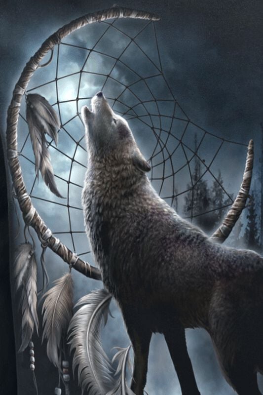 Rock Revival "From Darkness" Long-sleeve Shirt Black By Spiral