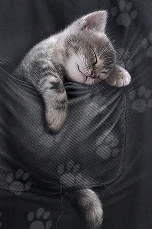 Rock Revival "Pocket Kitten" Fabric Bag Black By Spiral