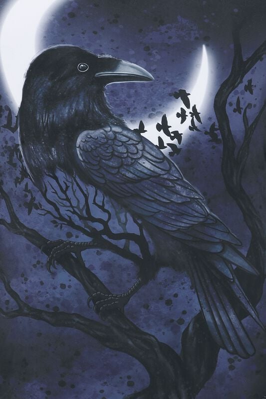 Rock Revival "Swimsuit With Moon And Raven" Swimsuit Black By Black Premium By EMP