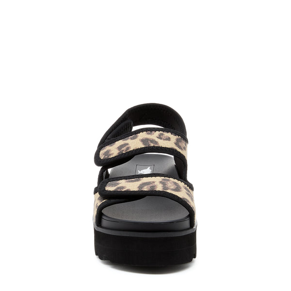 Rocket Dog Balmy Black Leopard Sandal