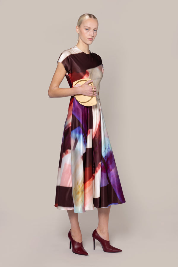 roksanda ilincic Designer Midi Dress in Multicolour