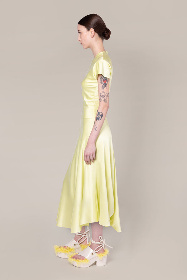 Roksanda Ilincic Designer Silk Midi Dress In Yellow