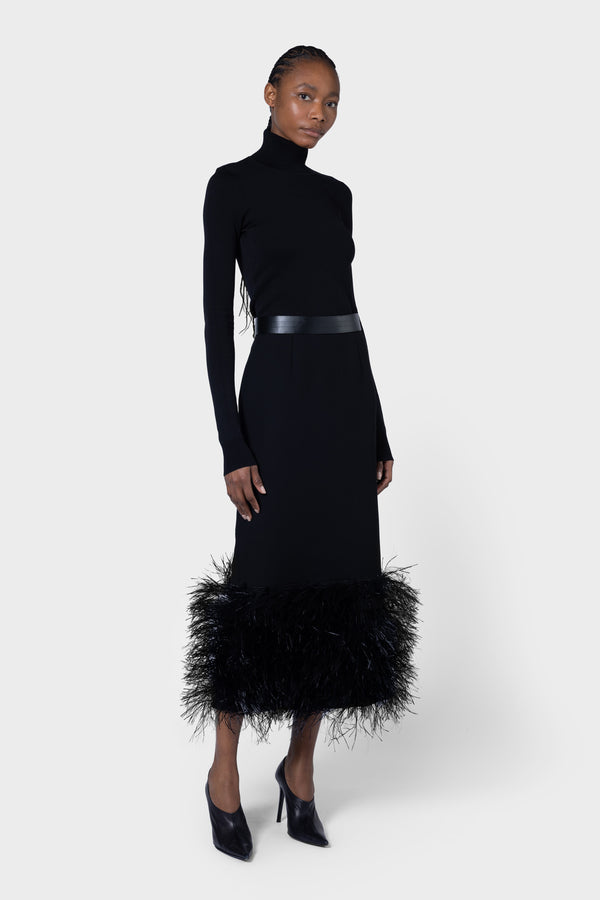 roksanda ilincic Designer Black Skirt