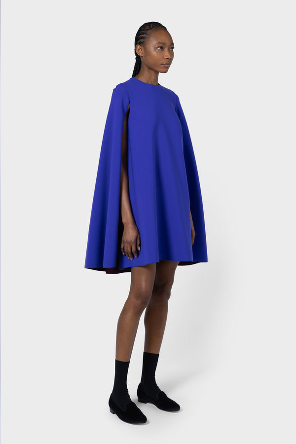 Roksanda Ilincic Designer Blue Dress