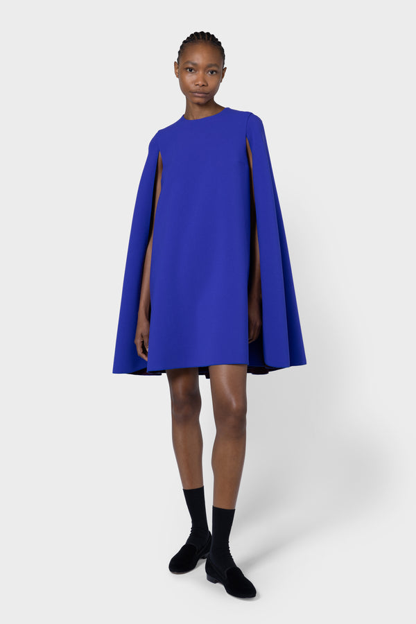 roksanda ilincic Designer Blue Dress