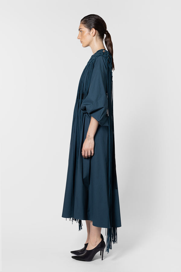 Roksanda Ilincic Designer Cotton Dress