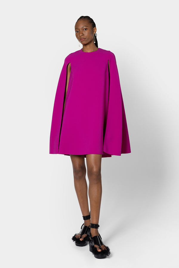 roksanda ilincic Designer Crepe Mini Dress in Pink