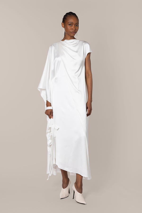 roksanda ilincic Designer Midi Dress in Silk