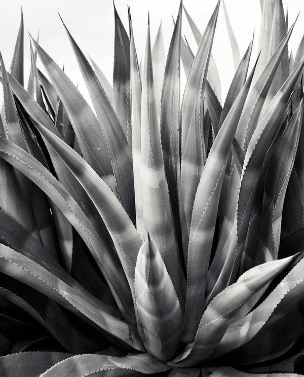 Ronald Van Der Kemp Retrospective 1975 - 2015