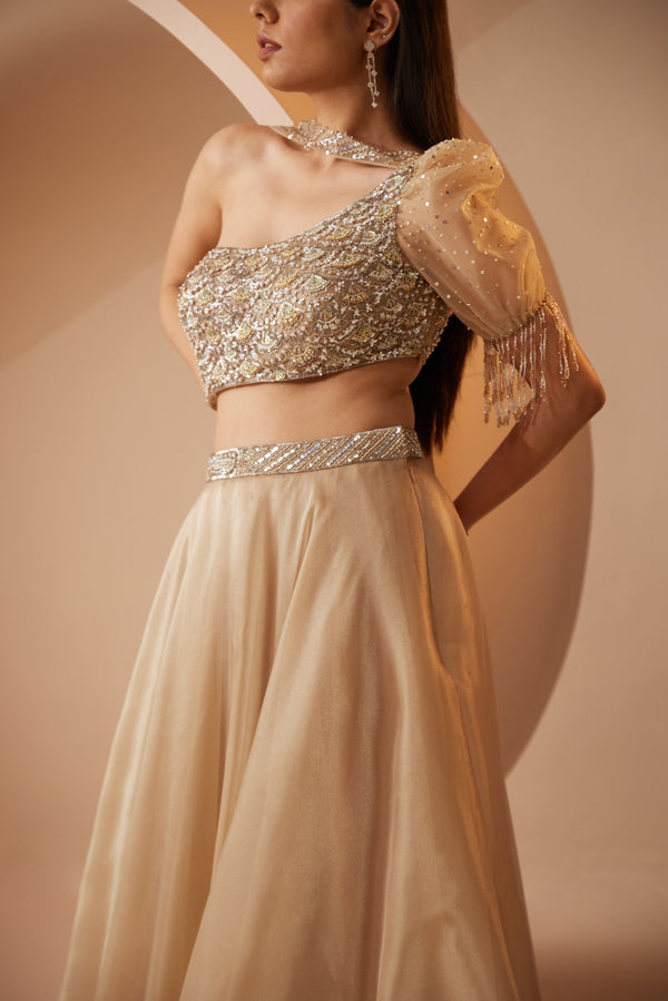 Roqa Abira Abira Gold Lehenga Set