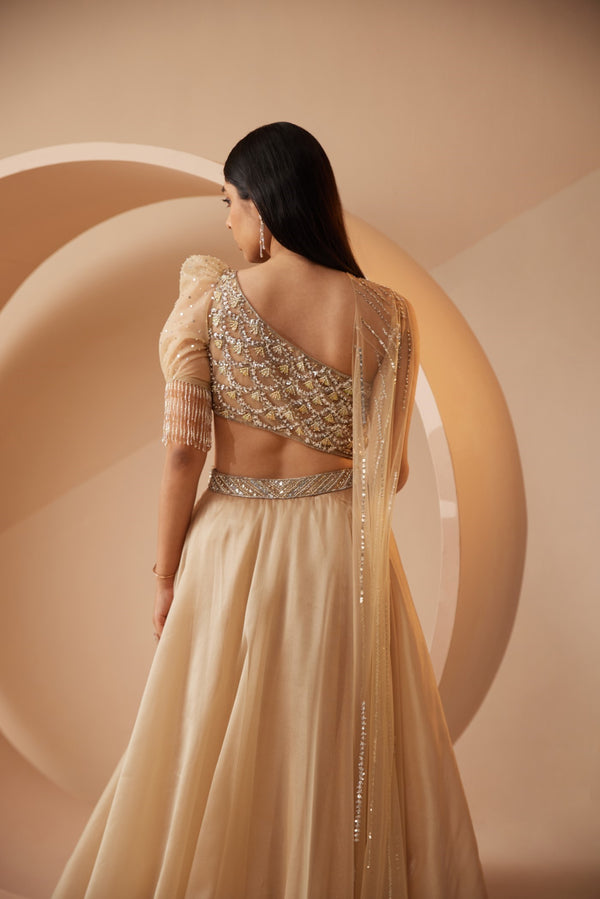 Roqa Abira Abira Gold Lehenga Set